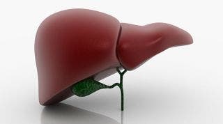 ¿Cómo repercute la disfunción de hígado sobre el sistema Músculo-esquelético?