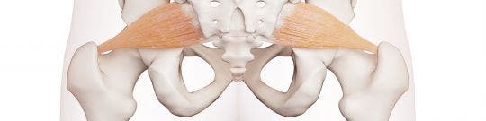 Osteopatía de pubis - Pubalgia