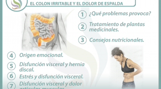 7 claves para entender la relación  entre el colon irritable y el dolor de espalda